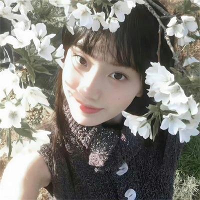 芝加哥警署第七季